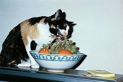 Healthy Eating With Heart Healthy Diets