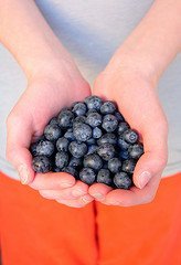 Healthy Diet Benefits – Some Interesting Tips