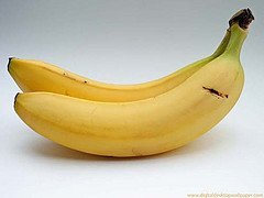 Low Carb Foods List-10 selection for an All Natural Low Carb Diet