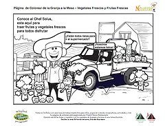 Information About Healthy Diet for Children