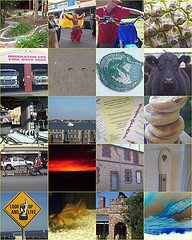 Low Calorie Diets – Diet Software – Cellulite Control